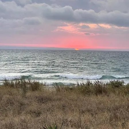 Ocean *